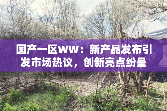 国产一区WW：新产品发布引发市场热议，创新亮点纷呈