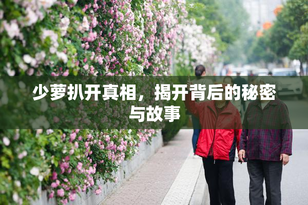 少萝扒开真相，揭开背后的秘密与故事