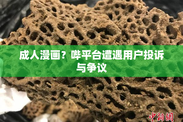 成人漫画？哔平台遭遇用户投诉与争议