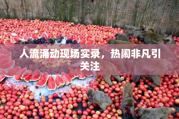 人流涌动现场实录，热闹非凡引关注