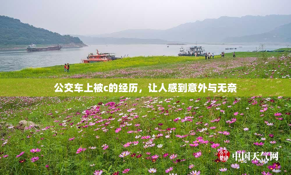 公交车上被c的经历，让人感到意外与无奈