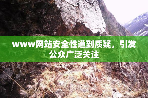 www网站安全性遭到质疑，引发公众广泛关注