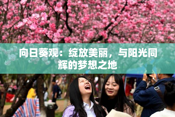 向日葵观：绽放美丽，与阳光同辉的梦想之地