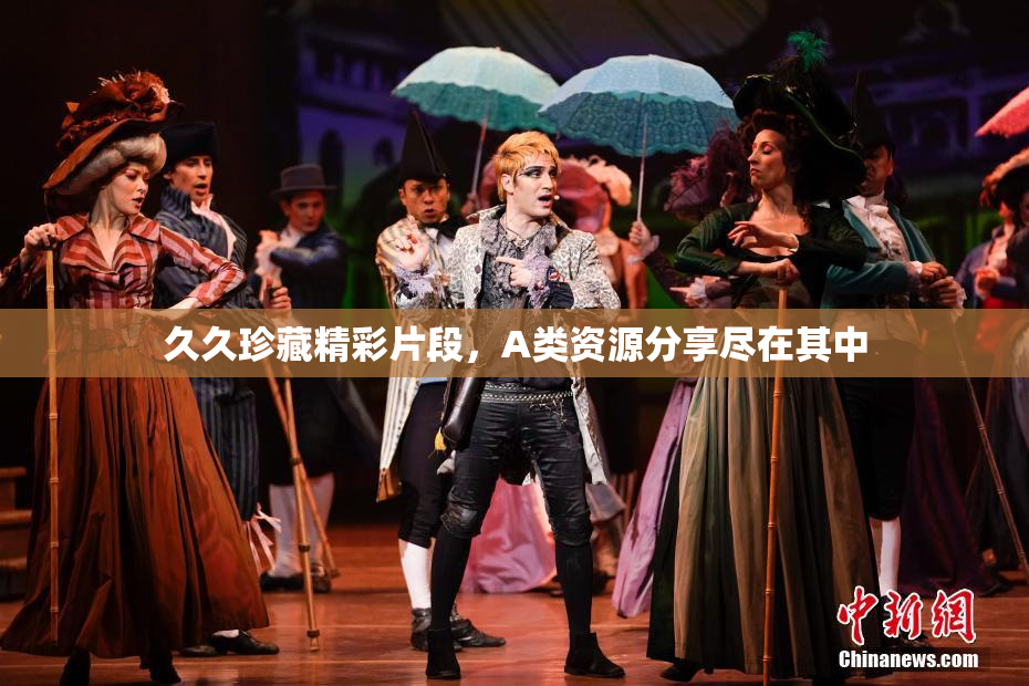 久久珍藏精彩片段，A类资源分享尽在其中