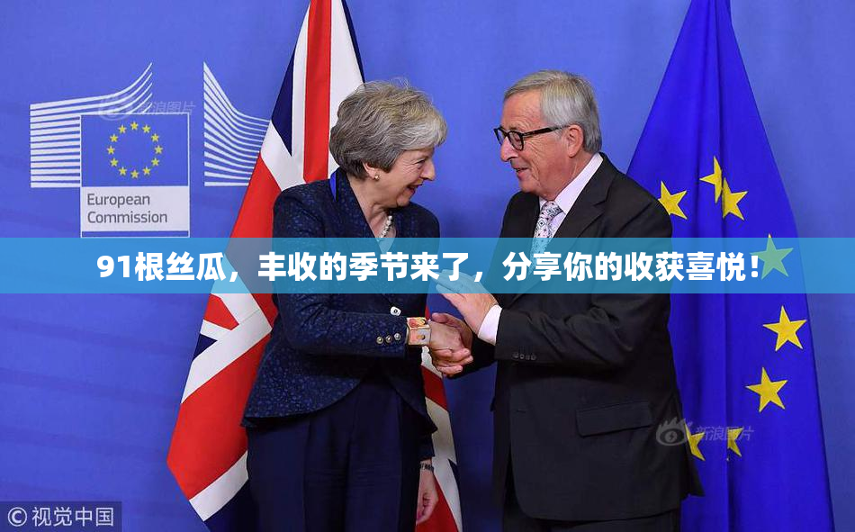 91根丝瓜，丰收的季节来了，分享你的收获喜悦！