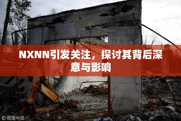 NXNN引发关注，探讨其背后深意与影响