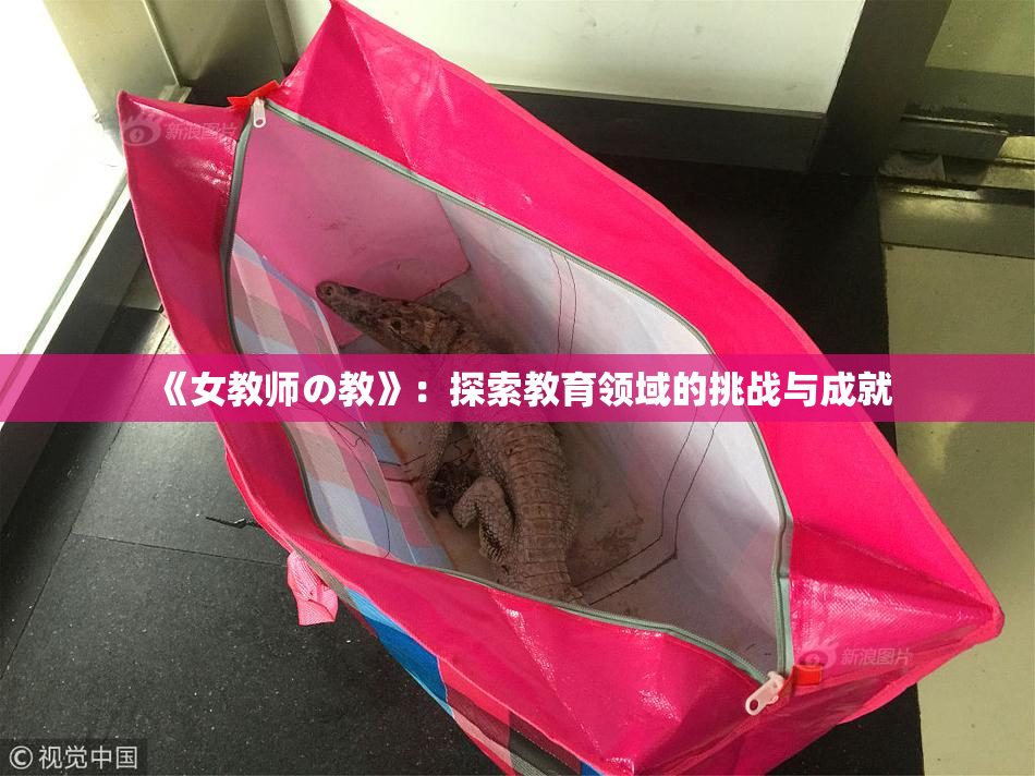 《女教师の教》：探索教育领域的挑战与成就
