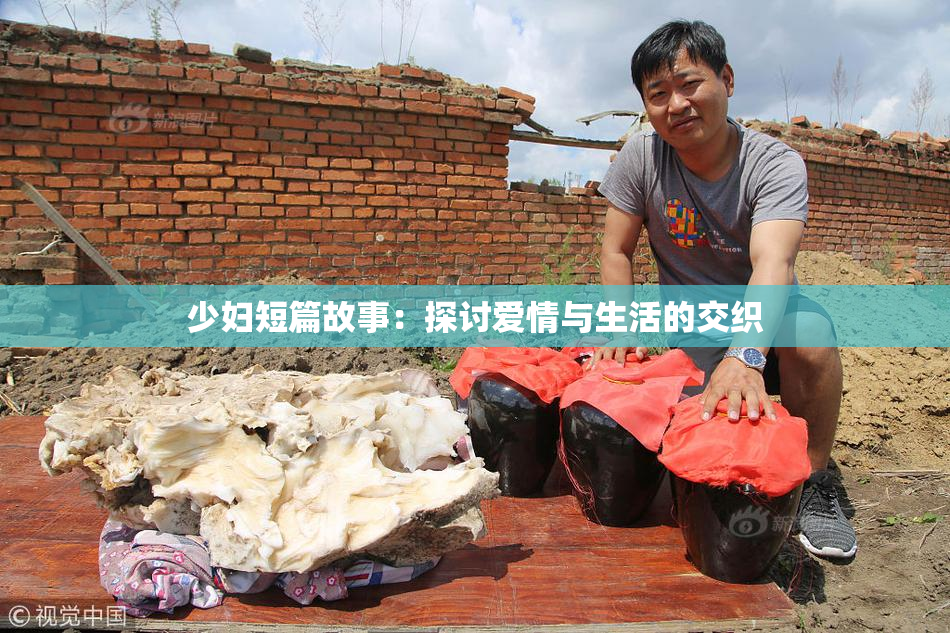 少妇短篇故事：探讨爱情与生活的交织