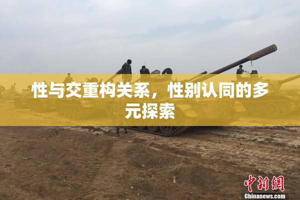 性与交重构关系，性别认同的多元探索