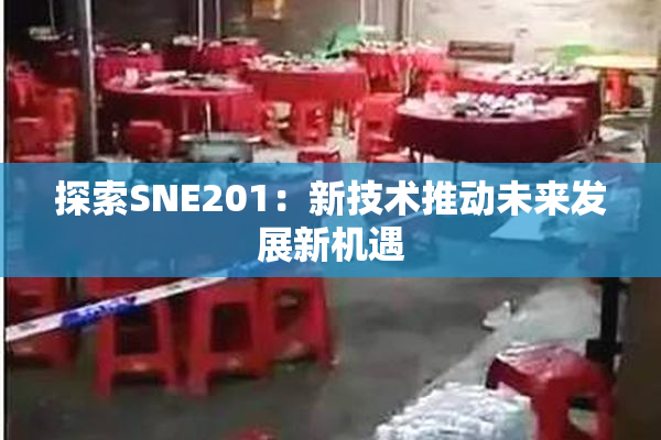 探索SNE201：新技术推动未来发展新机遇