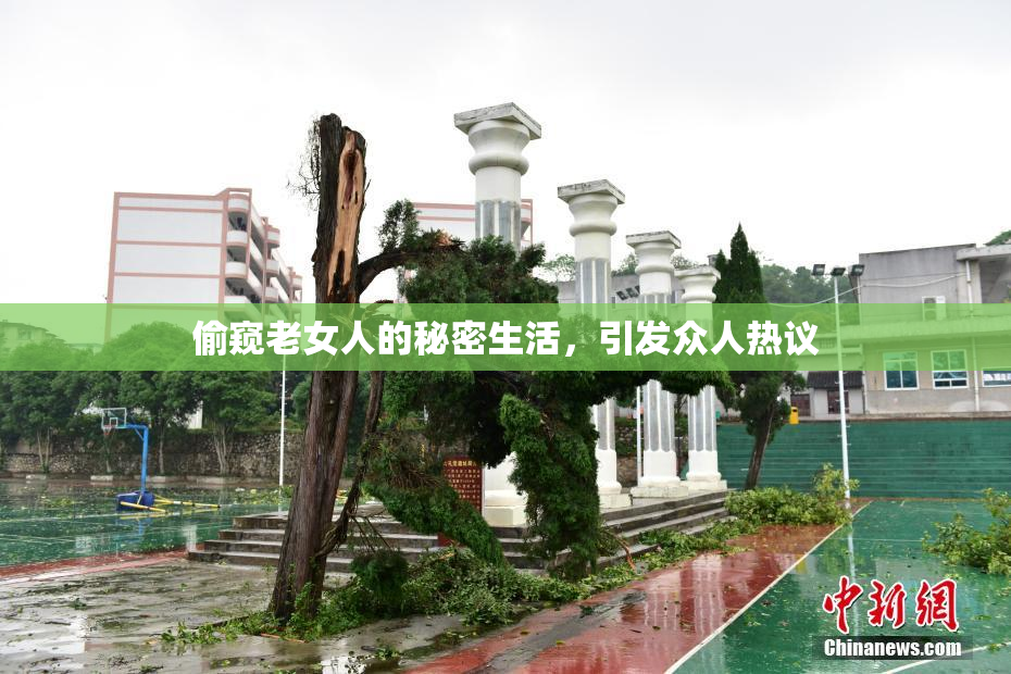 偷窥老女人的秘密生活，引发众人热议