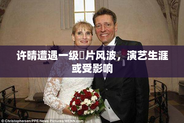 许晴遭遇一级婬片风波，演艺生涯或受影响