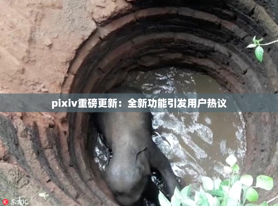 pixiv重磅更新：全新功能引发用户热议