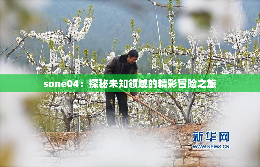 sone04：探秘未知领域的精彩冒险之旅