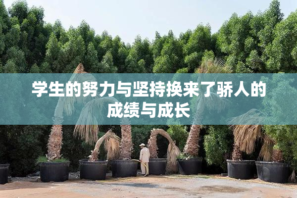 学生的努力与坚持换来了骄人的成绩与成长