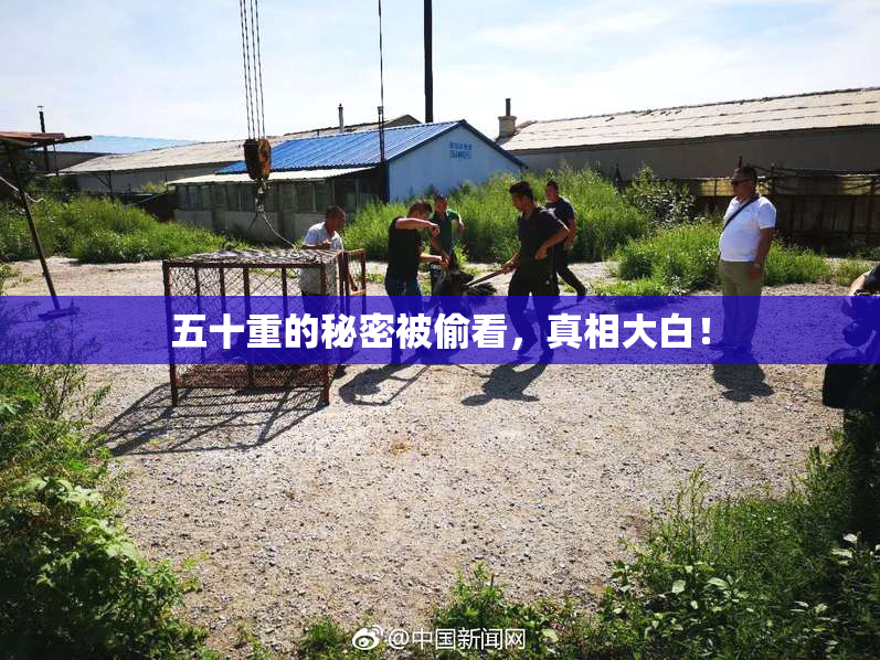 五十重的秘密被偷看，真相大白！