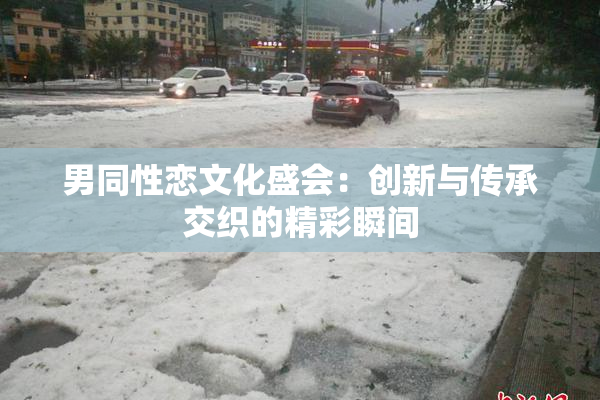 男同性恋文化盛会：创新与传承交织的精彩瞬间