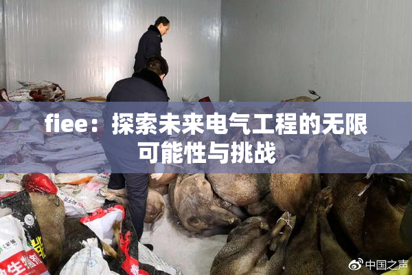 fiee：探索未来电气工程的无限可能性与挑战