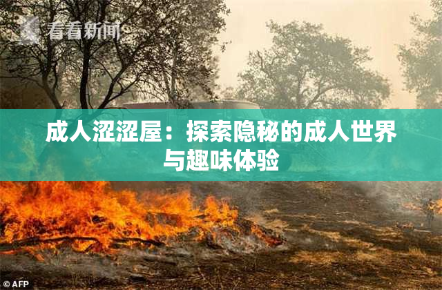 成人涩涩屋：探索隐秘的成人世界与趣味体验
