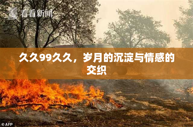 久久99久久，岁月的沉淀与情感的交织