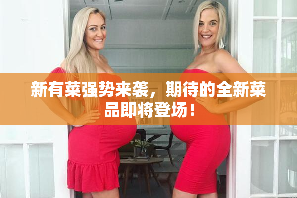 新有菜强势来袭，期待的全新菜品即将登场！