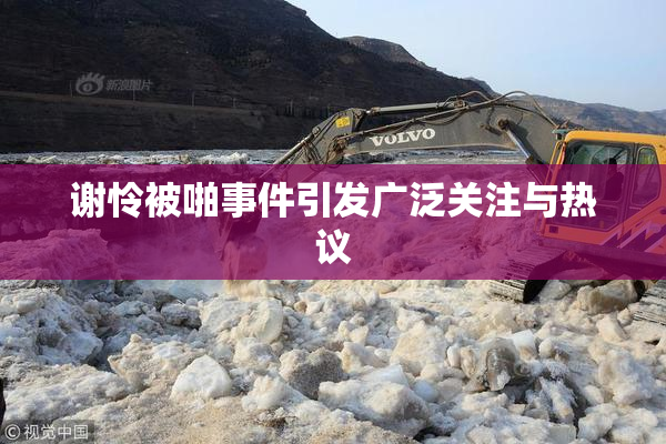 谢怜被啪事件引发广泛关注与热议