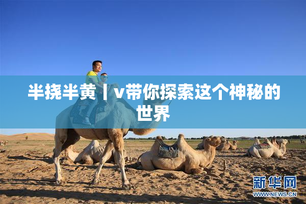 半挠半黄丨v带你探索这个神秘的世界