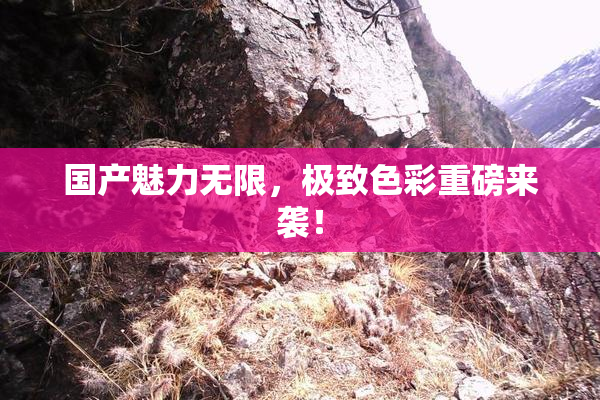 国产魅力无限，极致色彩重磅来袭！