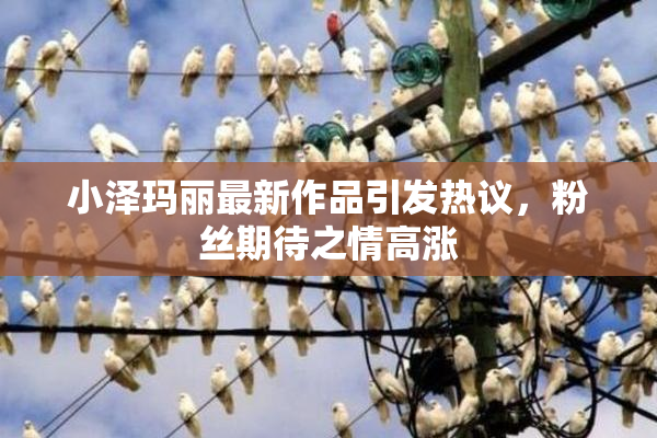 小泽玛丽最新作品引发热议，粉丝期待之情高涨