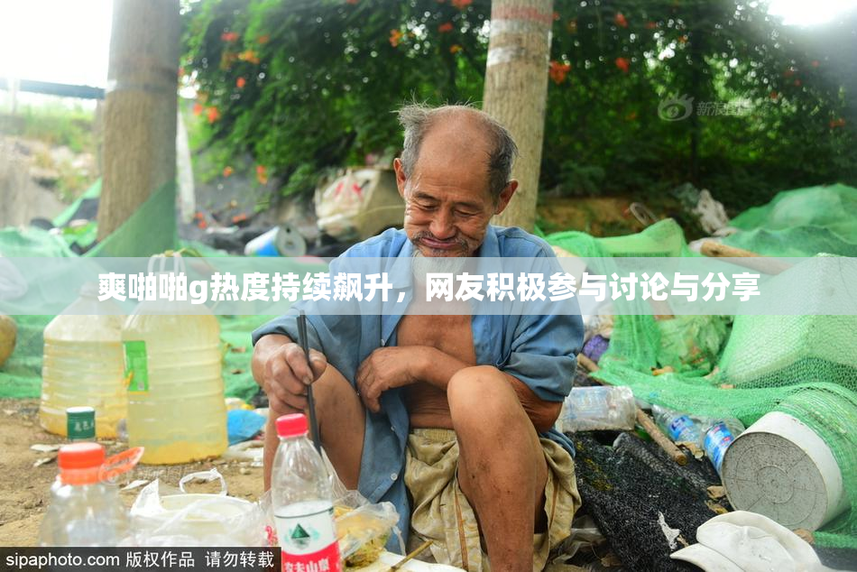 爽啪啪g热度持续飙升，网友积极参与讨论与分享