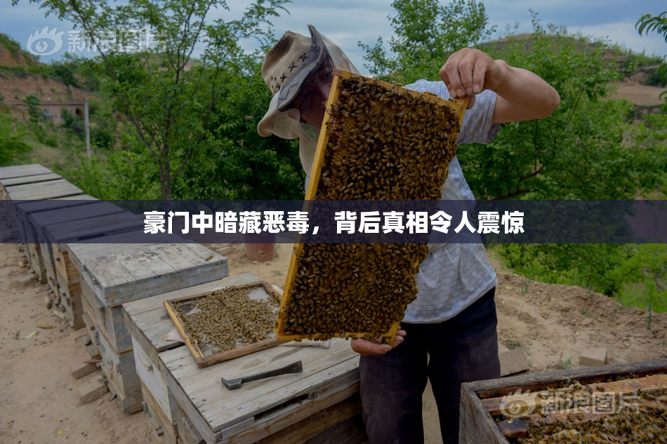豪门中暗藏恶毒，背后真相令人震惊