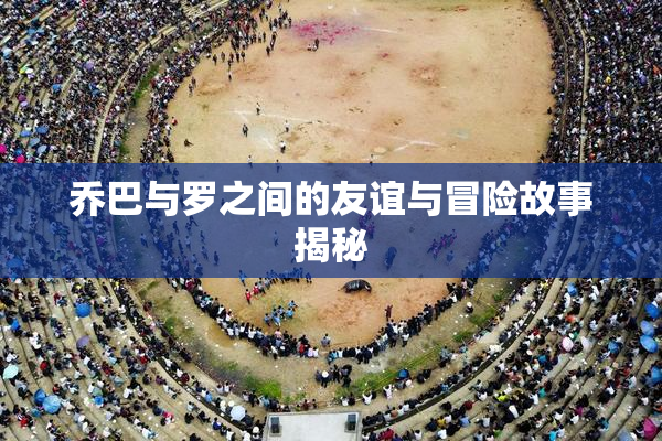 乔巴与罗之间的友谊与冒险故事揭秘
