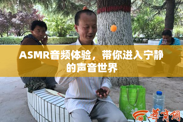 ASMR音频体验，带你进入宁静的声音世界