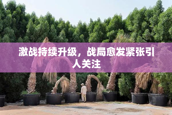 激战持续升级，战局愈发紧张引人关注