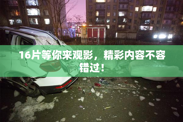 16片等你来观影，精彩内容不容错过！