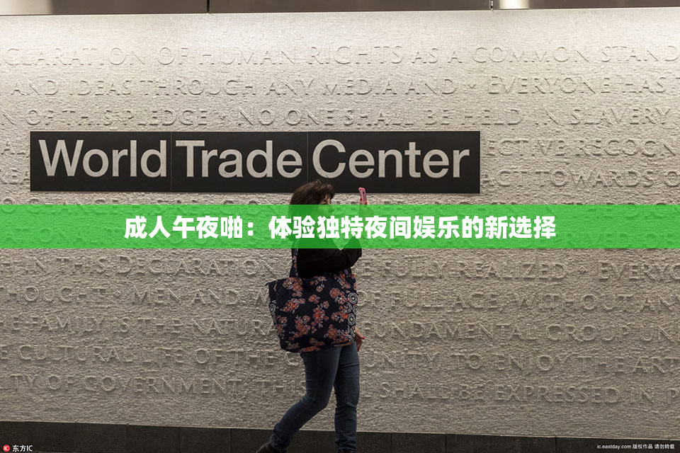 成人午夜啪：体验独特夜间娱乐的新选择