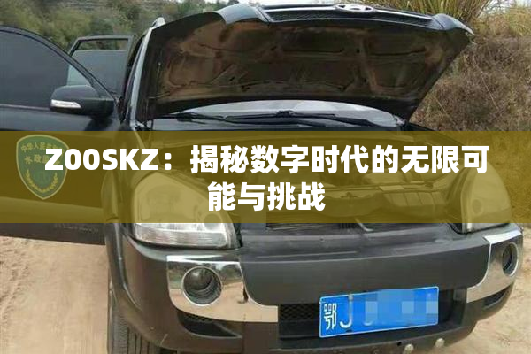Z00SKZ：揭秘数字时代的无限可能与挑战