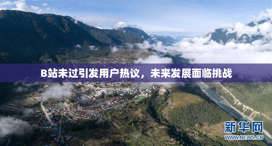 B站未过引发用户热议，未来发展面临挑战