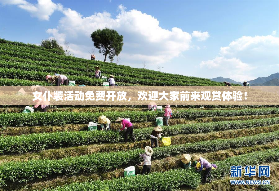 女仆装活动免费开放，欢迎大家前来观赏体验！