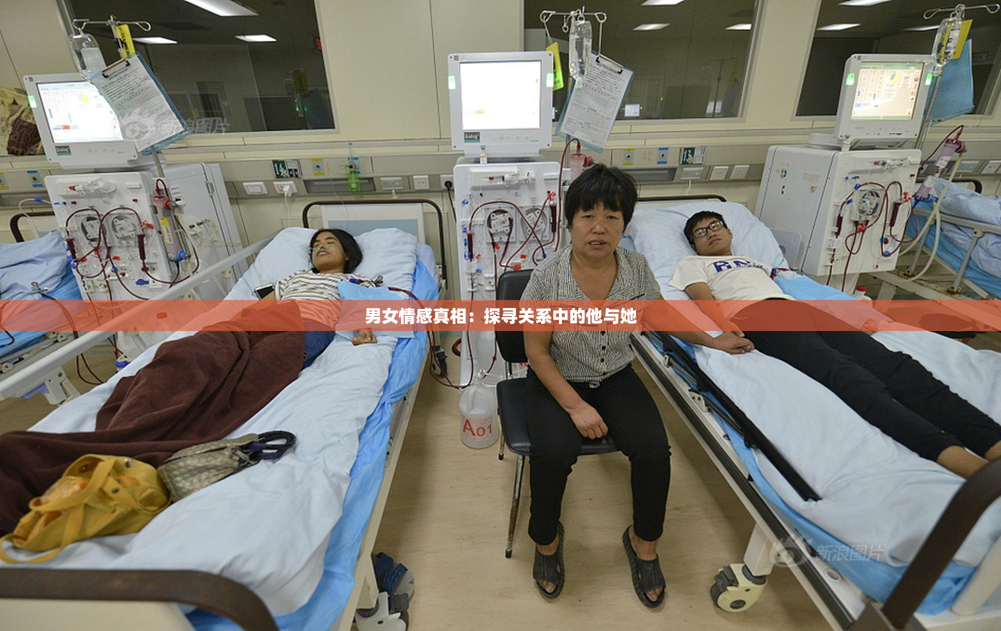 男女情感真相：探寻关系中的他与她