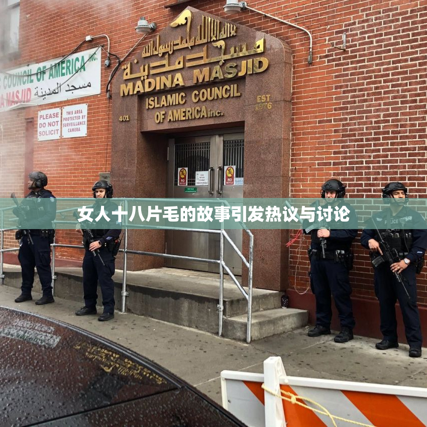女人十八片毛的故事引发热议与讨论