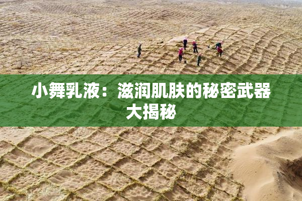 小舞乳液：滋润肌肤的秘密武器大揭秘