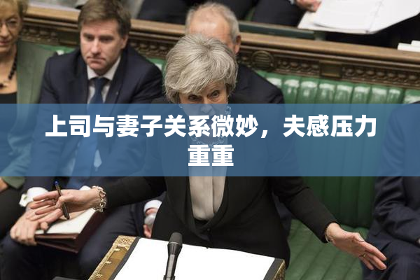 上司与妻子关系微妙，夫感压力重重
