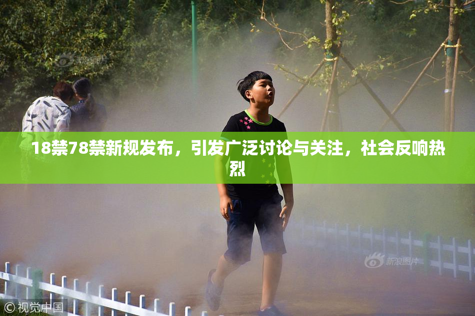 18禁78禁新规发布，引发广泛讨论与关注，社会反响热烈