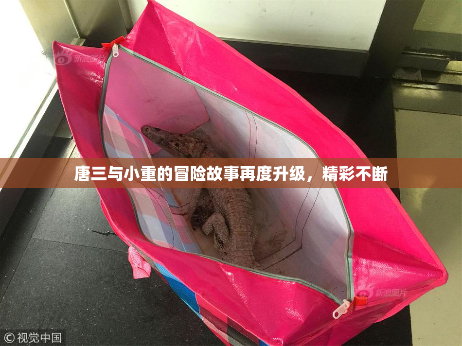 唐三与小重的冒险故事再度升级，精彩不断