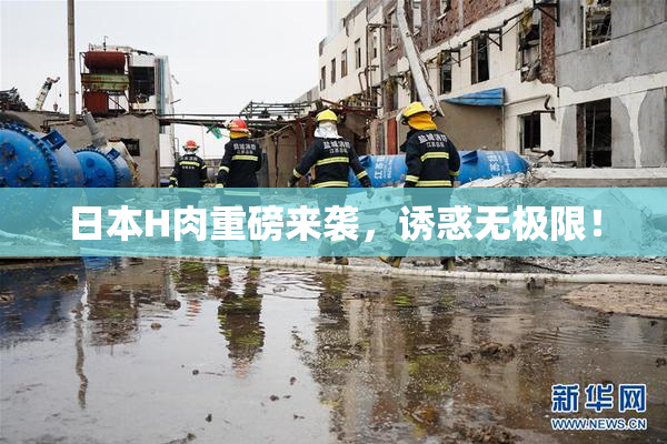 日本H肉重磅来袭，诱惑无极限！