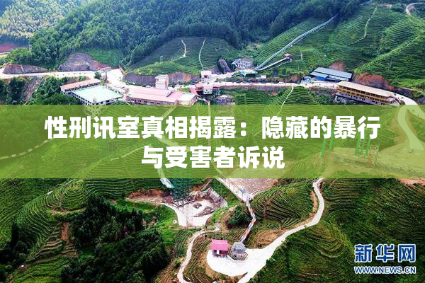 性刑讯室真相揭露：隐藏的暴行与受害者诉说