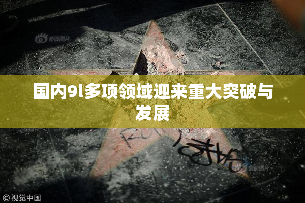 国内9l多项领域迎来重大突破与发展
