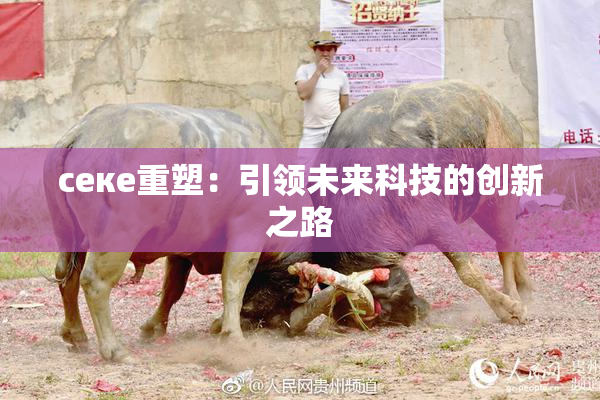 ceке重塑：引领未来科技的创新之路
