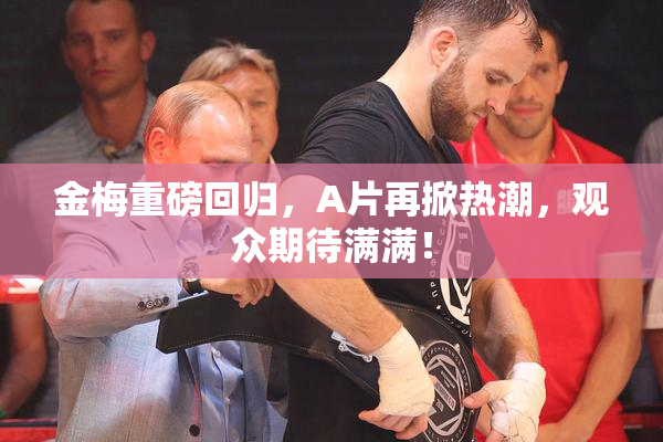 金梅重磅回归，A片再掀热潮，观众期待满满！